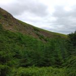 Portway10-IMG_20220628_144457DinasSitchTor.jpg