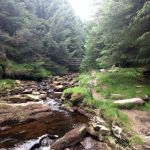 Portway10-IMG_20220628_160518LadyClough.jpg