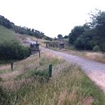 Portway10-IMG_20220628_210605NearMossyLeaFarm.jpg