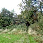 Portway-DaleAbbey-ArbourHill-20200901-PICT3424.jpg