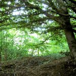 Portway-DaleAbbey-SandPit-20200901-PICT3423.jpg
