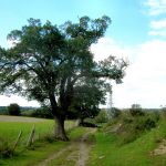 Portway-HaggLa-DaleRd-20200901-PICT3428.jpg