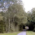 Portway-HaggLane-20200901-PICT3427.jpg