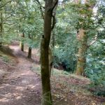 Portway-HermitageWood-IMG_20200901_124100.jpg