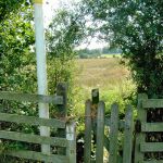 Portway-StanleyBrook-20200901-PICT3431.jpg