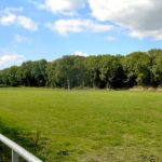 Portway-StanleyEmbankment-20200901-PICT3434.jpg