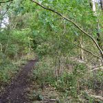Portway-StanleyEmbankmentPath-20200901-PICT3436.jpg