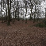 BramcoteHillsStandingStone-IMG_20230128_132700.jpg