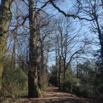 Portway2a-bramcorehillspark-IMG_20250318_125335.jpg