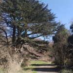 Portway2a-bramcorehillspark-IMG_20250318_125743.jpg