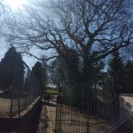 Portway2a-BramcoteKingsPark-IMG_20250318_134704.jpg