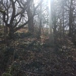 Portway2a-crowhill-IMG_20250318_130949.jpg