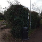 StaplefordCemetery-IMG_20230128_113459.jpg