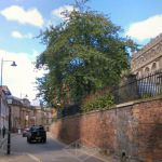 Portway-Nottingham-HighPavement-IMG_20200824_111408.jpg