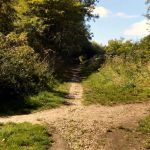 Portway-Nottingham-SandyLaneNR-IMG_20200824_134657.jpg
